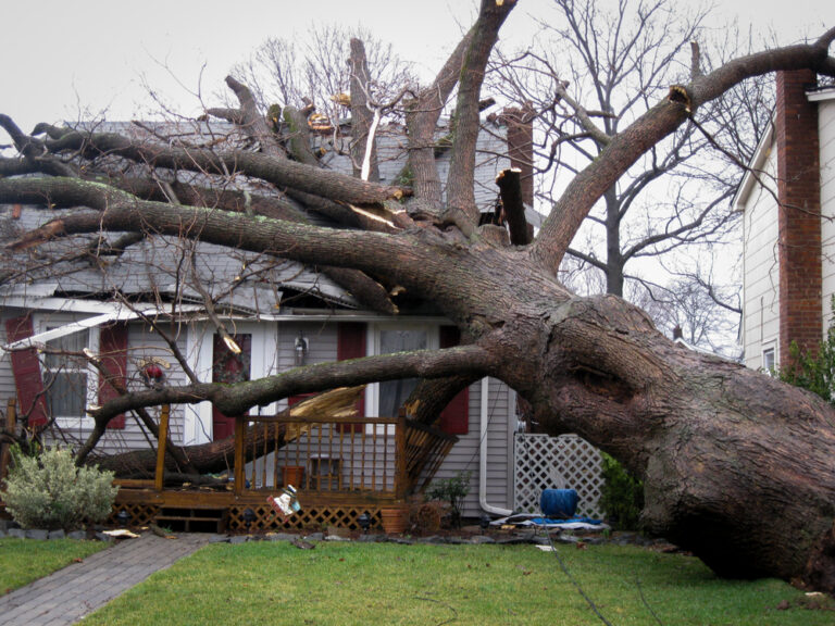 Post-Hurricane Recovery: Steps to Take After the Storm